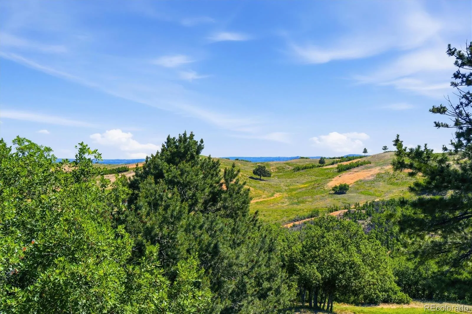 6560 Winnebago Way Sedalia CO 80135 | MLS #REC8222405 08042026215410 1600 40