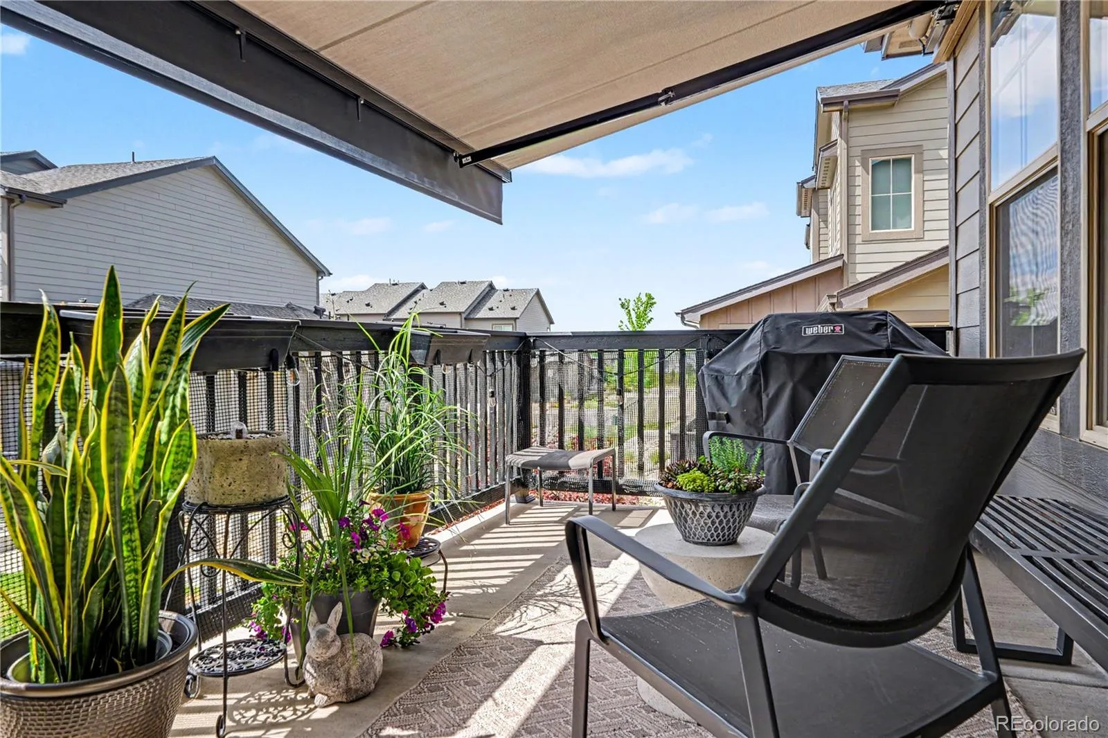 11599 Dewey Street Parker CO 80138 | MLS #REC8223699 05182026200159 1600 15