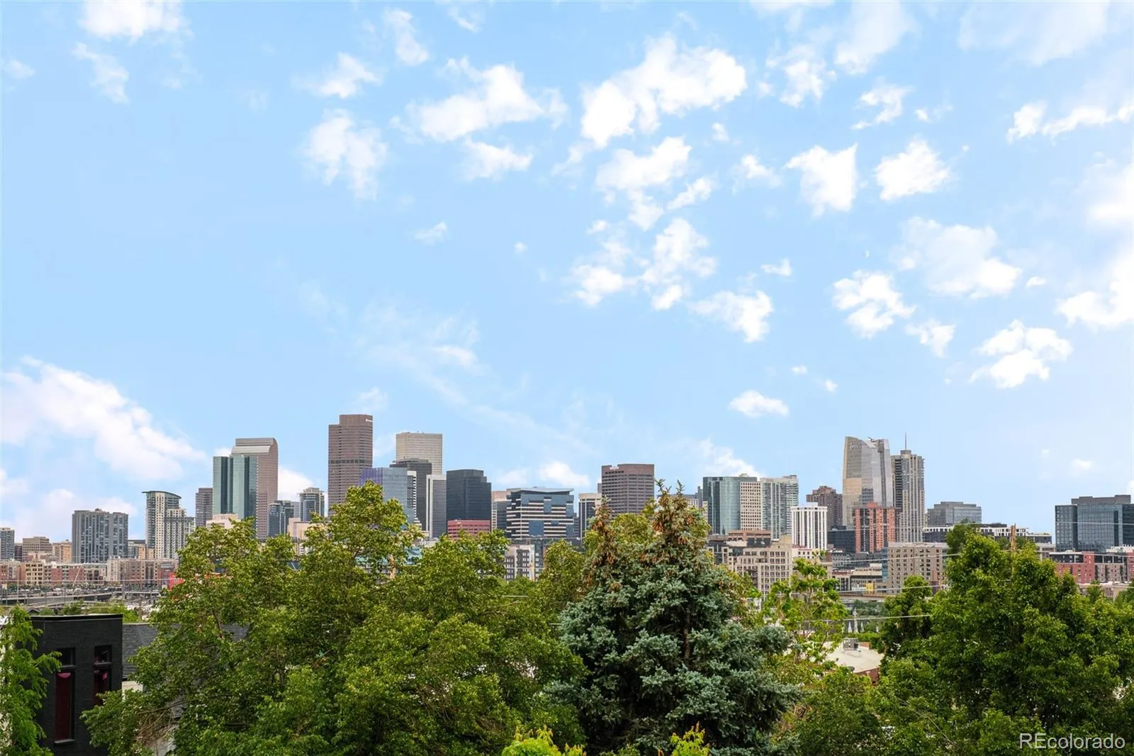 3985 Mariposa Street Denver CO 80211 MLS #REC8223956 05232026102535 1600 4