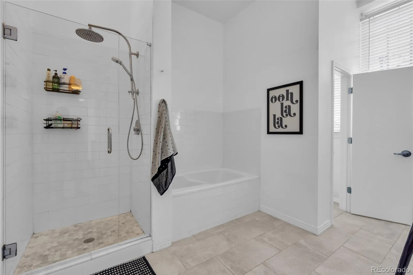 225 N Lincoln Street #1 Denver CO 80203 MLS #REC8226793 04302026143909 1600 30