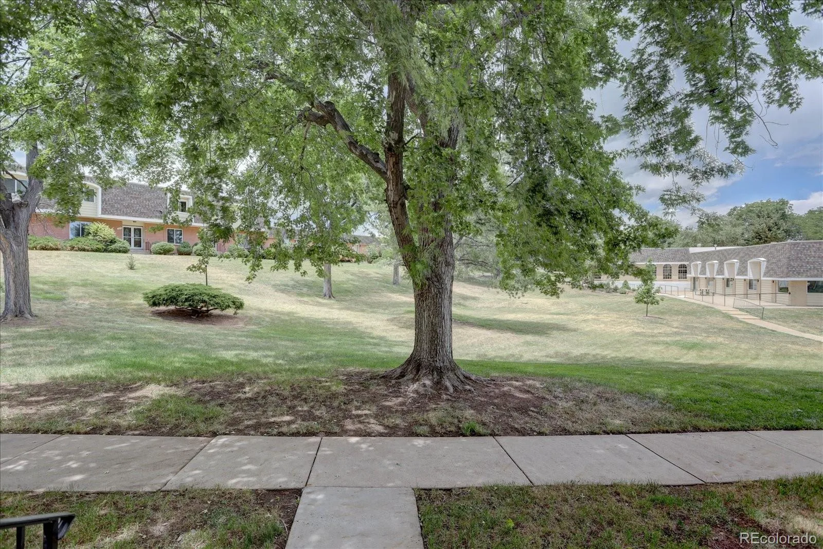 815 S Youngfield Court Denver CO 80228 | MLS #REC8236932 07252026132346 1600 36