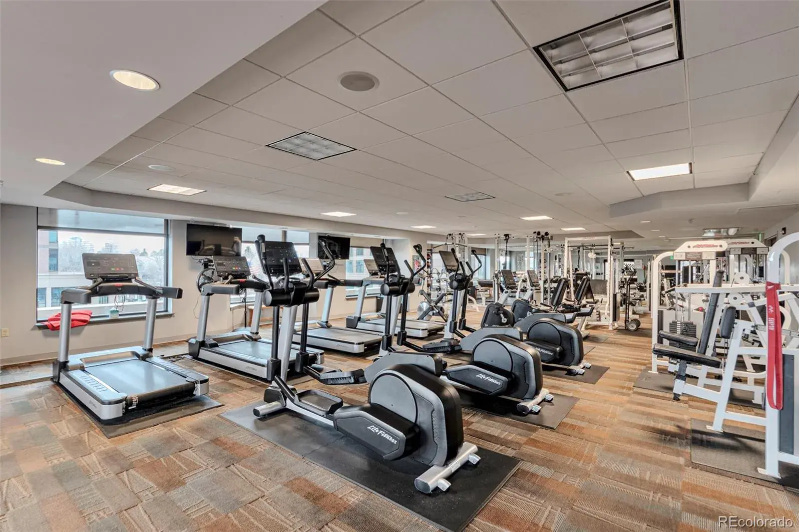 03052026185455 1600 24