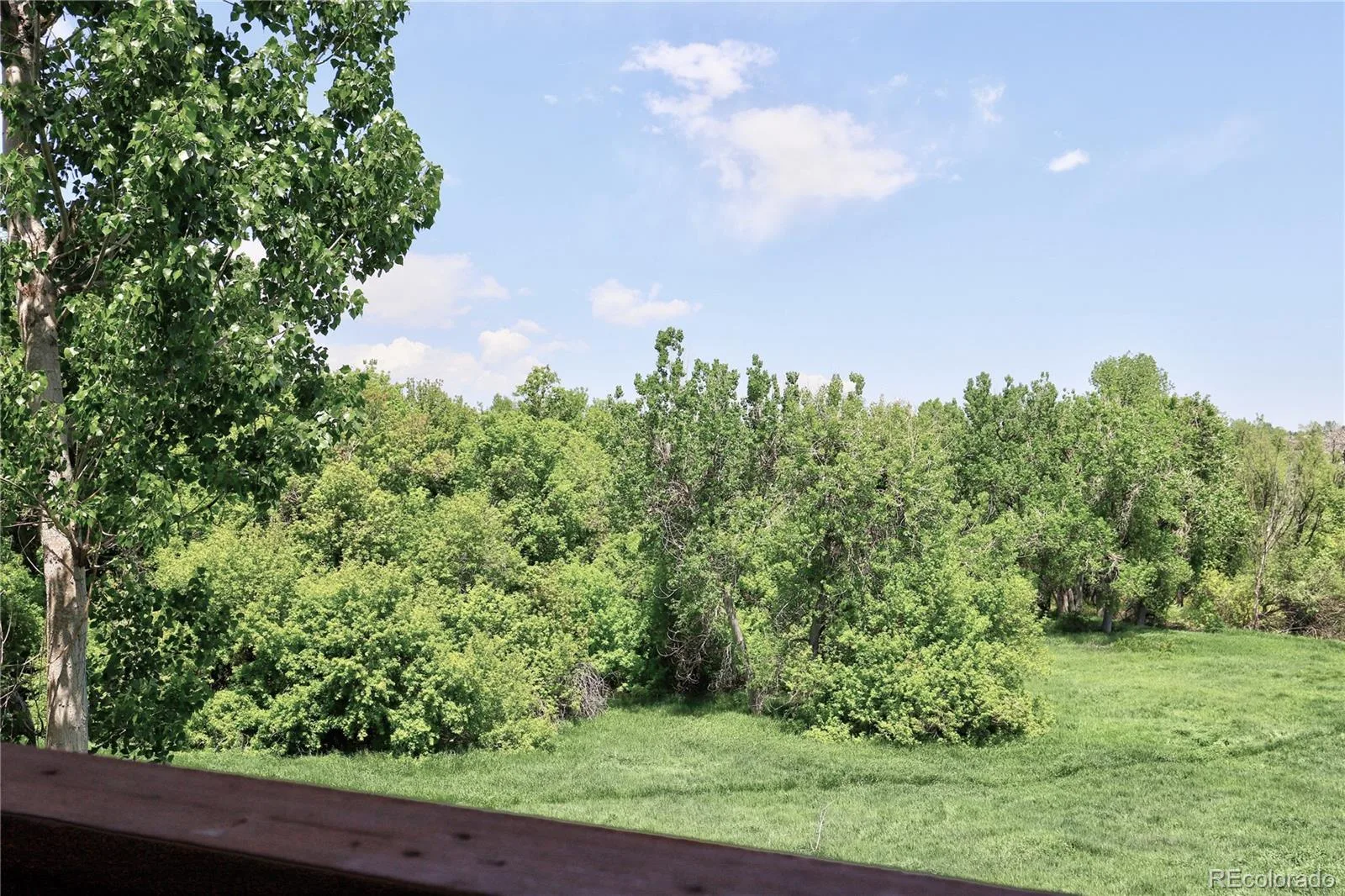 9771 W Cornell Place Denver CO 80227 | MLS #REC8254554 08182026234803 1600 3