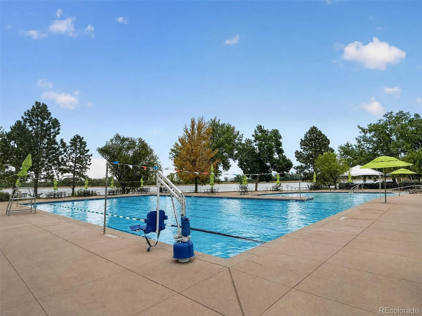 5587 S Gray Street Littleton CO 80123 | MLS #REC8254860 08122026160556 1600 38