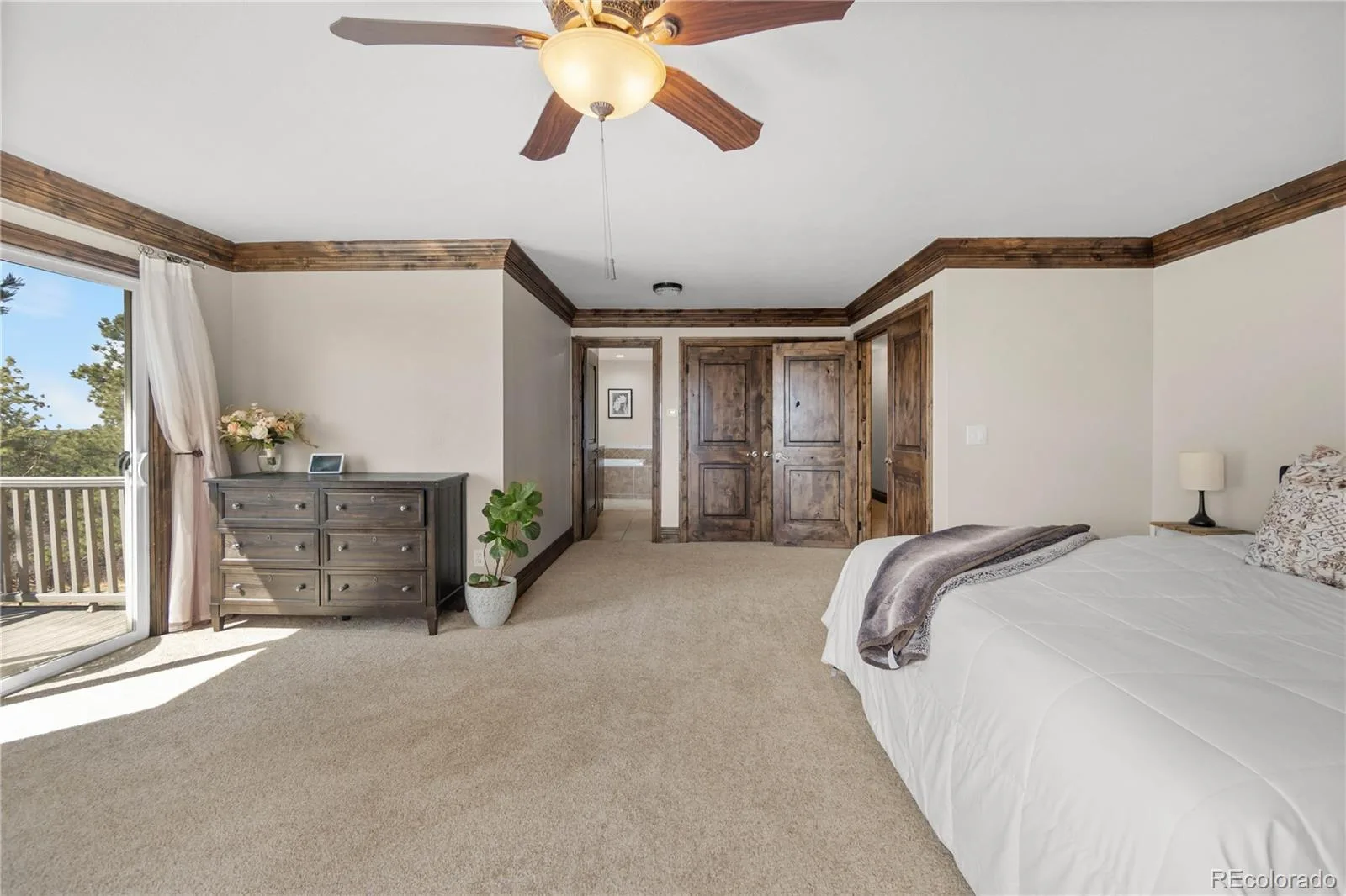 11066 Tomichi Drive Franktown CO 80116 | MLS #REC8255739 07272026170928 1600 17