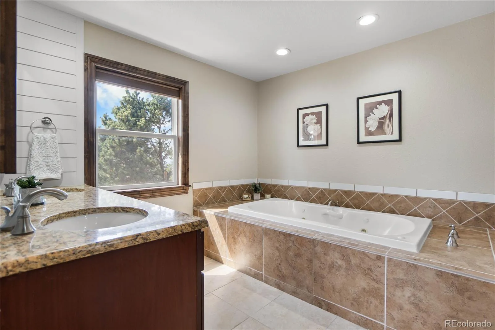 11066 Tomichi Drive Franktown CO 80116 | MLS #REC8255739 07272026170928 1600 21