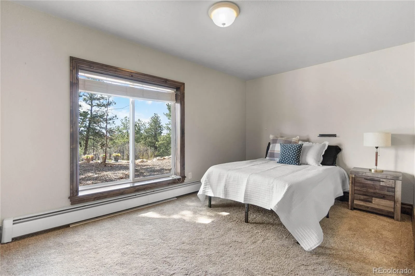 11066 Tomichi Drive Franktown CO 80116 | MLS #REC8255739 07272026170928 1600 37