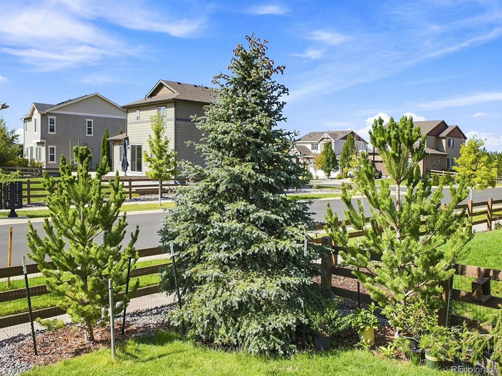 7266 S Robertsdale Way Aurora CO 80016 | MLS #REC8257413 09222026084913 1600 35