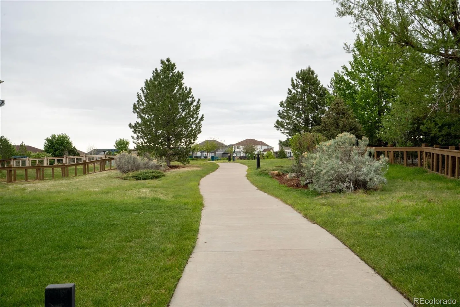 7151 S Oak Hill Circle Aurora CO 80016 | MLS #REC8261148 07222026152825 1600 37