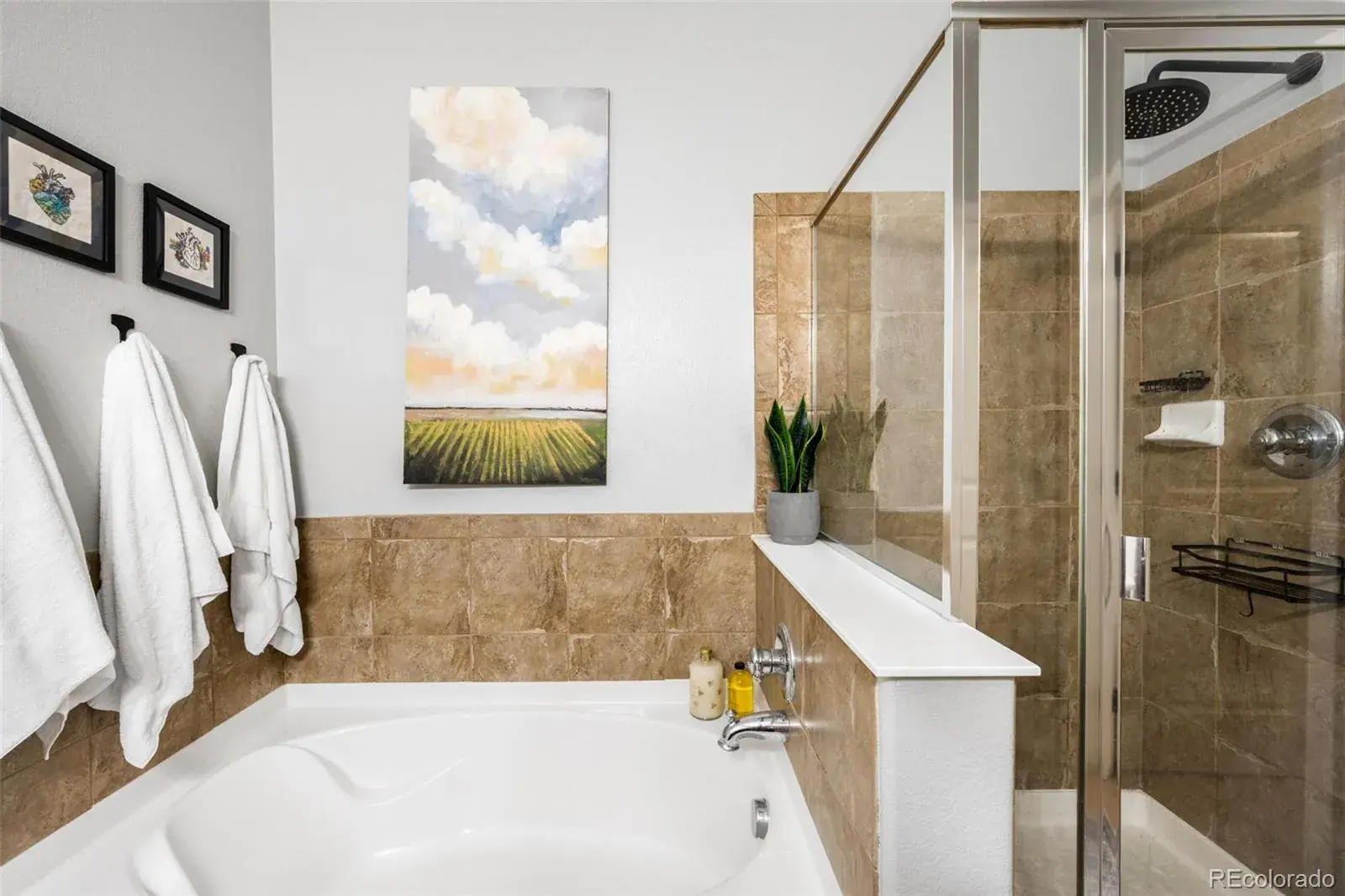 24573 E Hoover Place #36-2 Aurora CO 80016 MLS #REC8262443 02272026185133 1600 19