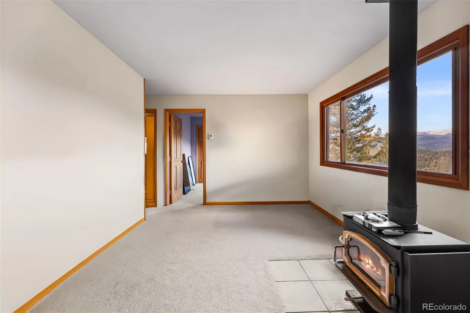 5109 S Elk Ridge Road Evergreen CO 80439 | MLS #REC8265290 07182026161509 1600 19