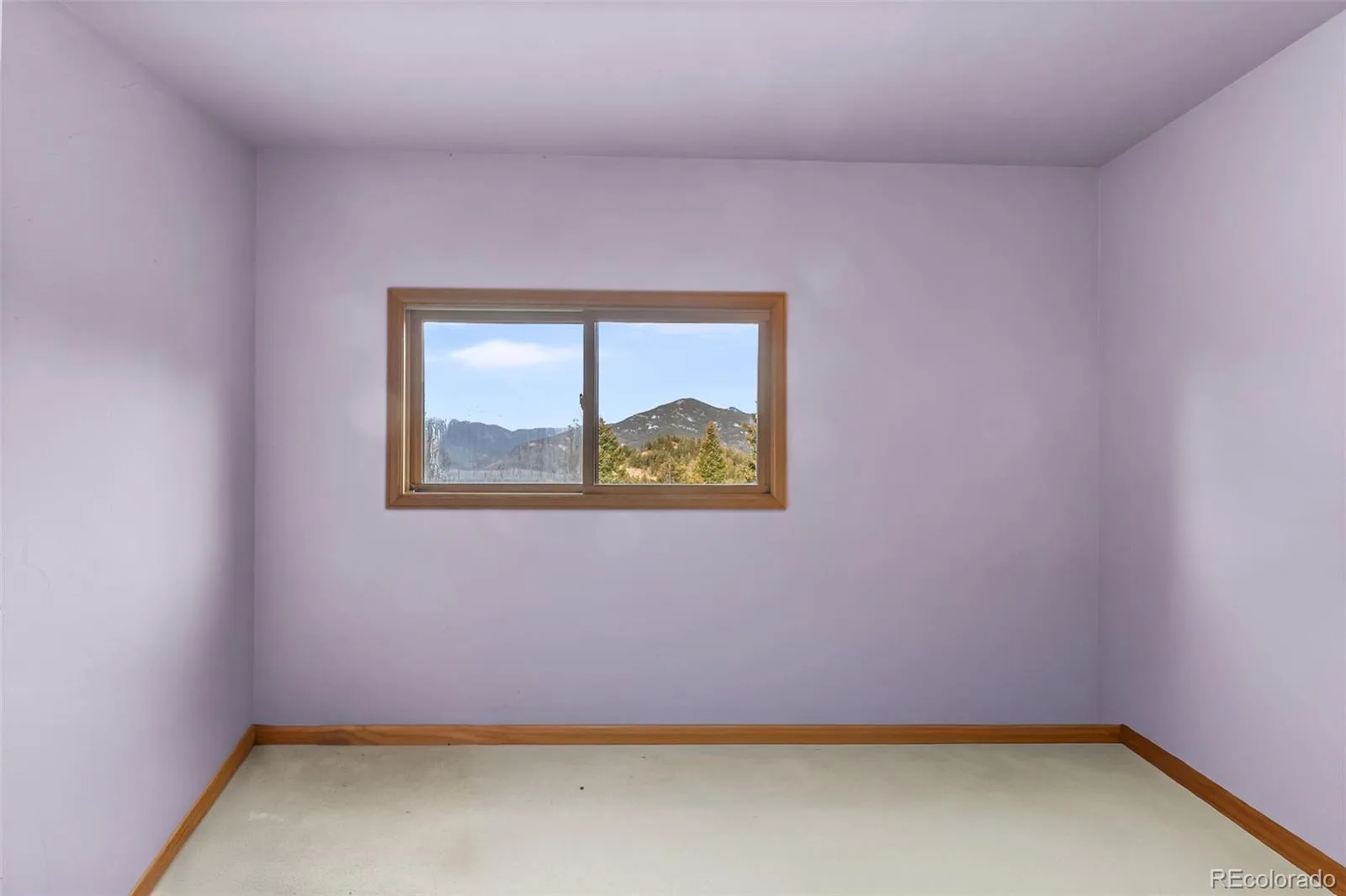 5109 S Elk Ridge Road Evergreen CO 80439 | MLS #REC8265290 07182026161509 1600 24