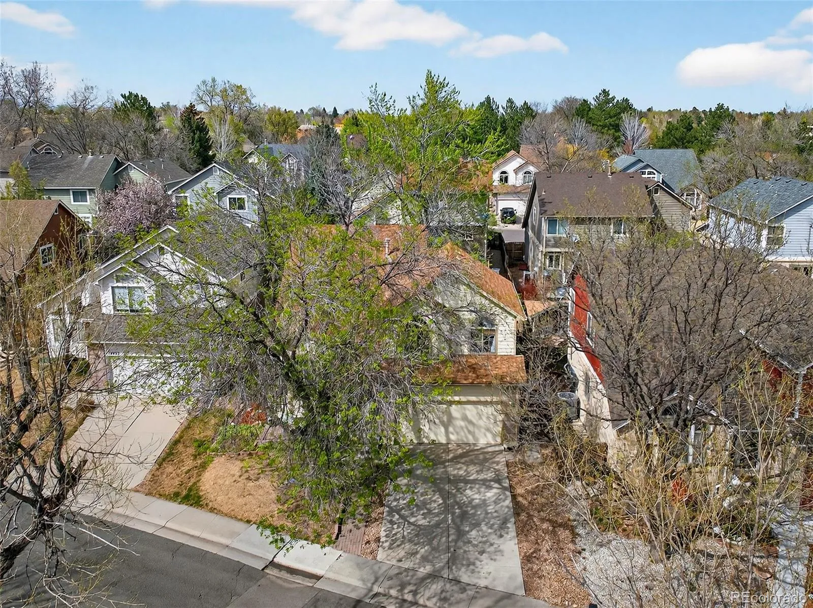 10023 W 81st Lane Arvada CO 80005 MLS #REC8272058 05032026173445 1600 37