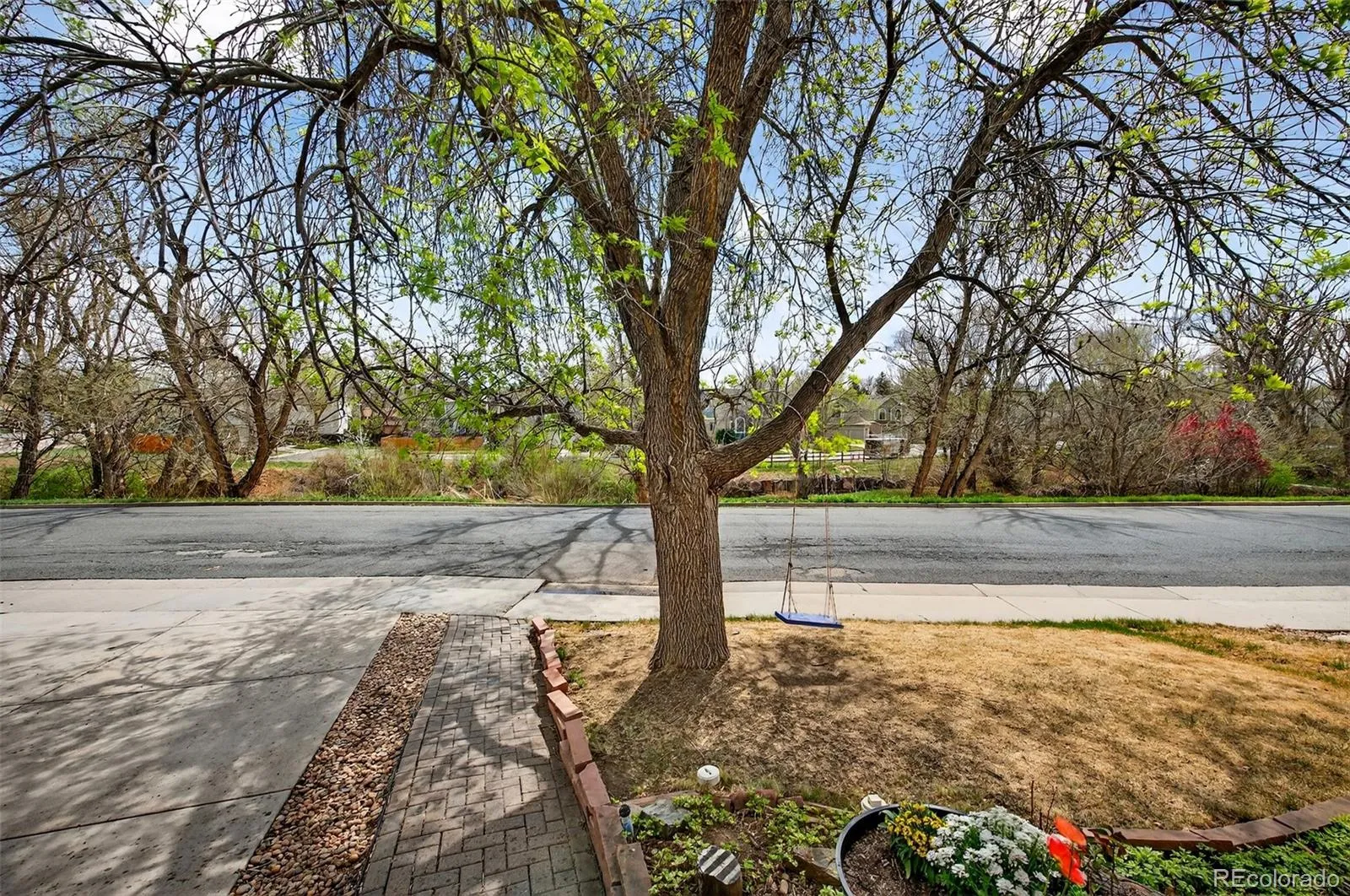 10023 W 81st Lane Arvada CO 80005 MLS #REC8272058 05032026173445 1600 38