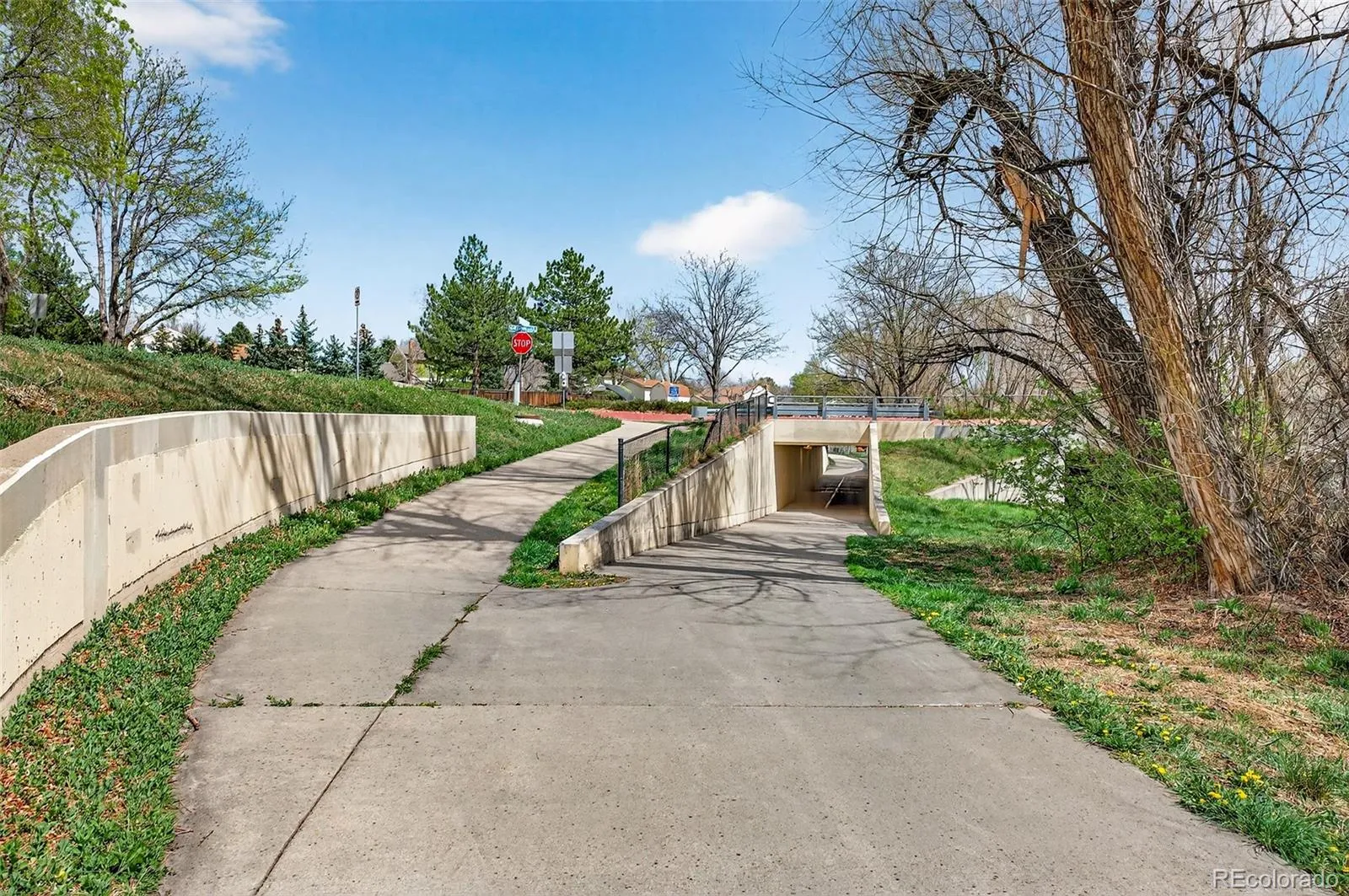 10023 W 81st Lane Arvada CO 80005 MLS #REC8272058 05032026173445 1600 40