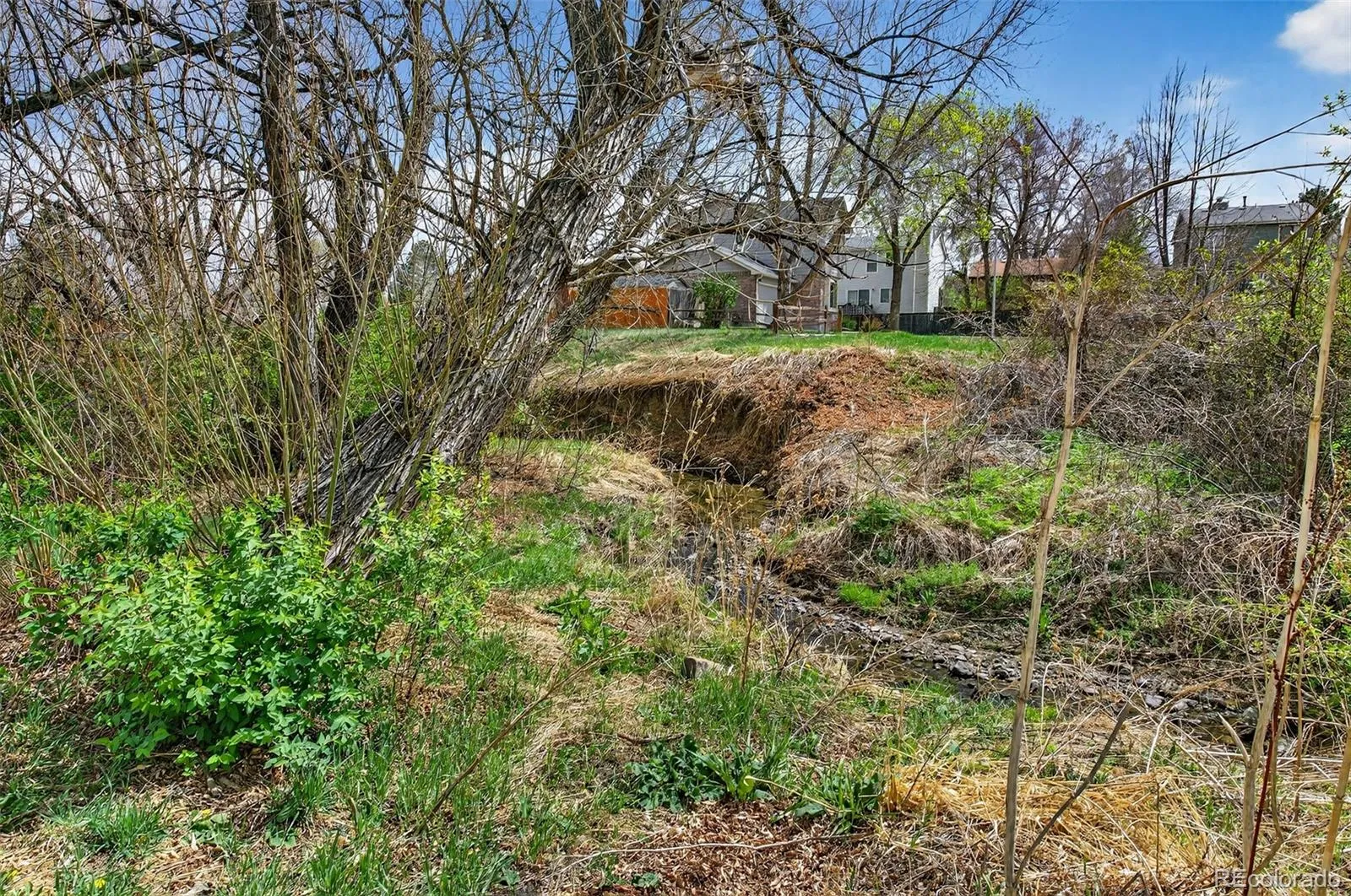 10023 W 81st Lane Arvada CO 80005 MLS #REC8272058 05032026173445 1600 41