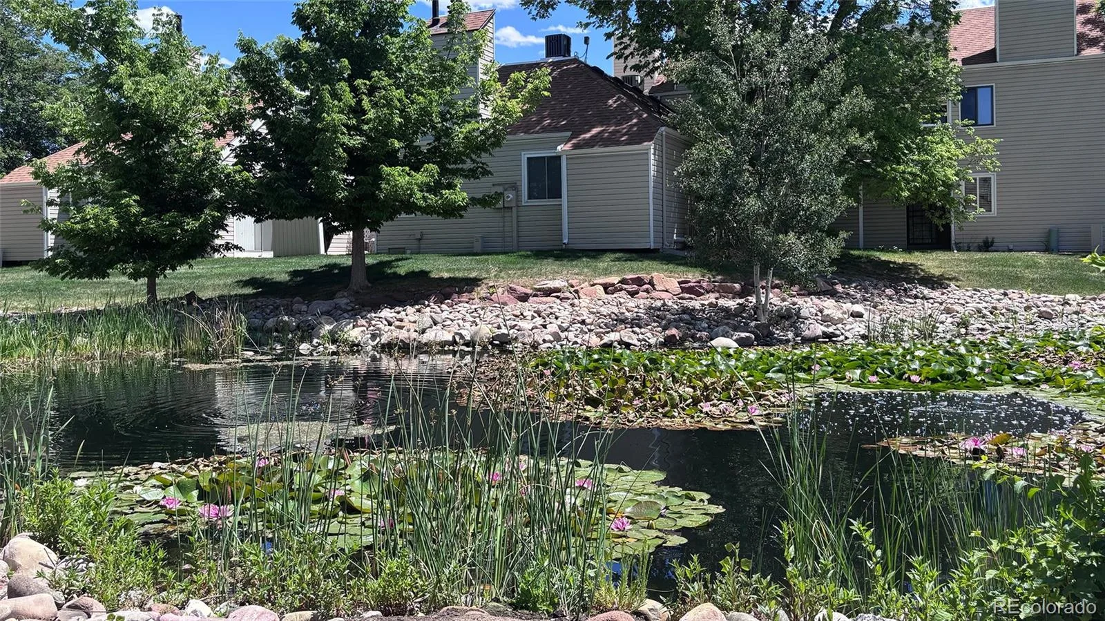 2618 S Xanadu Way #A Aurora CO 80014 | MLS #REC8273494 06082026205534 1600 6