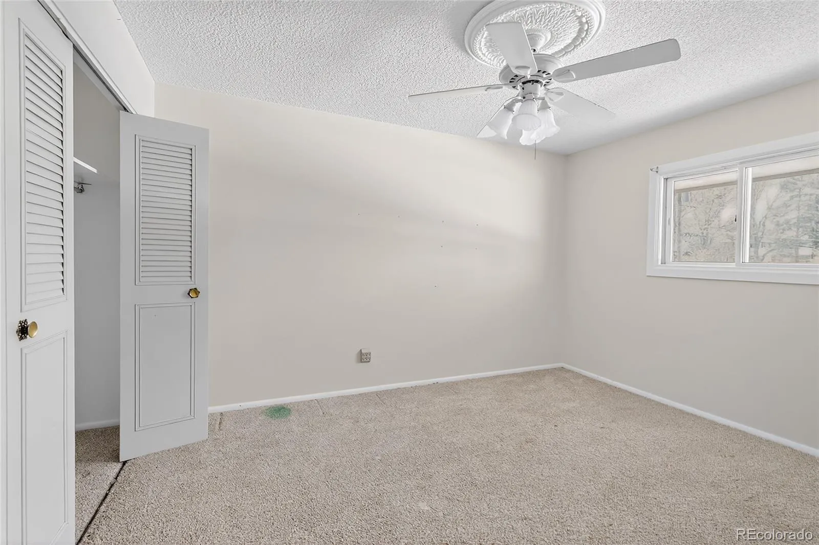 12513 W Alameda Drive Lakewood CO 80228 | MLS #REC8273903 05162026041612 1600 19
