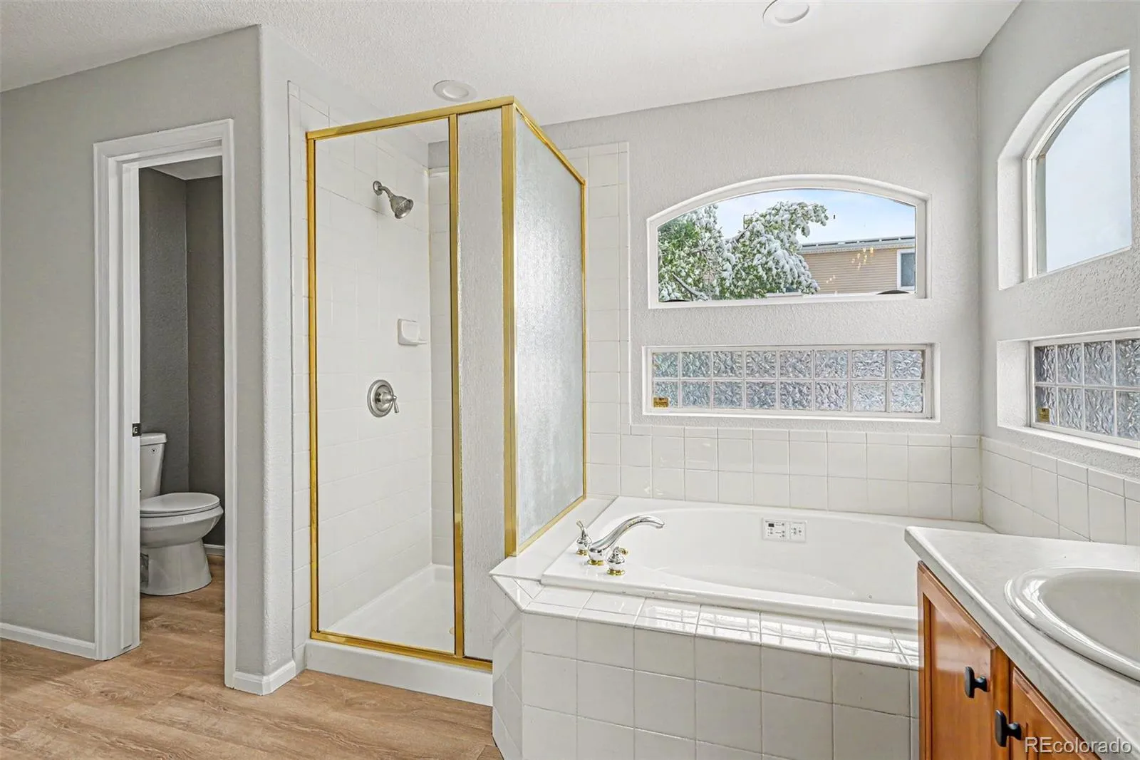 20734 E 49th Avenue Denver CO 80249 MLS #REC8277521 05092026030649 1600 18