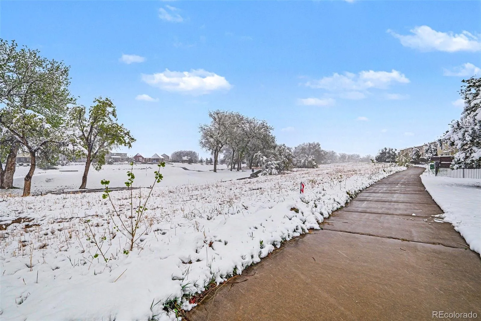 20734 E 49th Avenue Denver CO 80249 MLS #REC8277521 05092026030649 1600 34