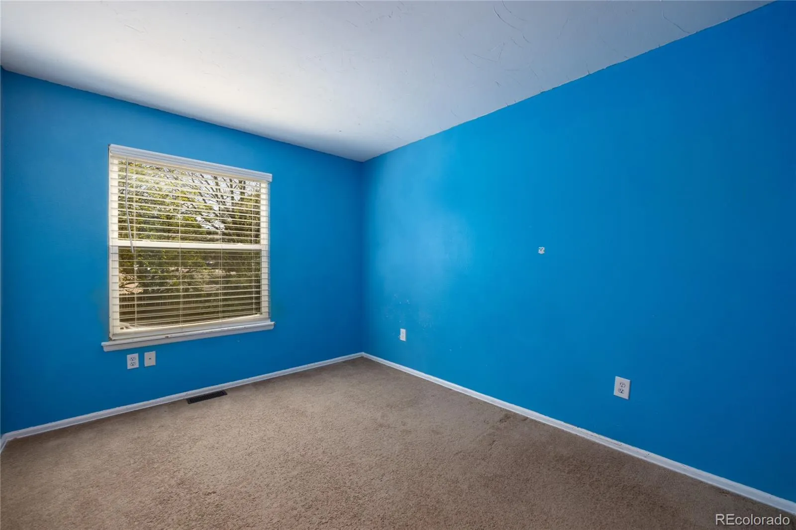 7110 S Clay Street Littleton CO 80120 MLS #REC8285894 05122026230713 1600 13