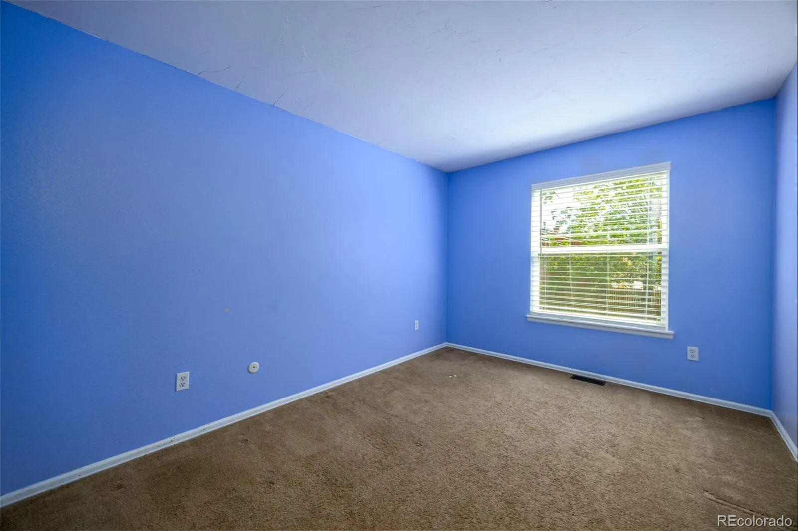 7110 S Clay Street Littleton CO 80120 MLS #REC8285894 05122026230713 1600 15