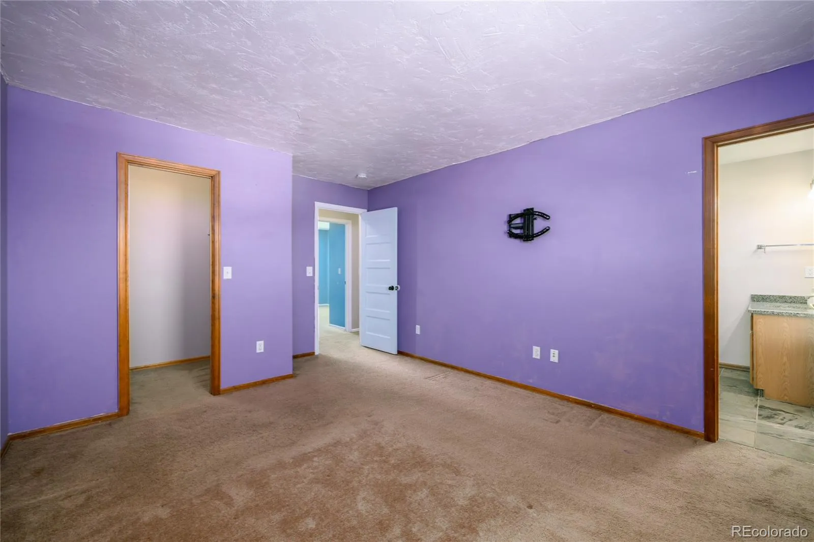 7110 S Clay Street Littleton CO 80120 MLS #REC8285894 05122026230713 1600 17