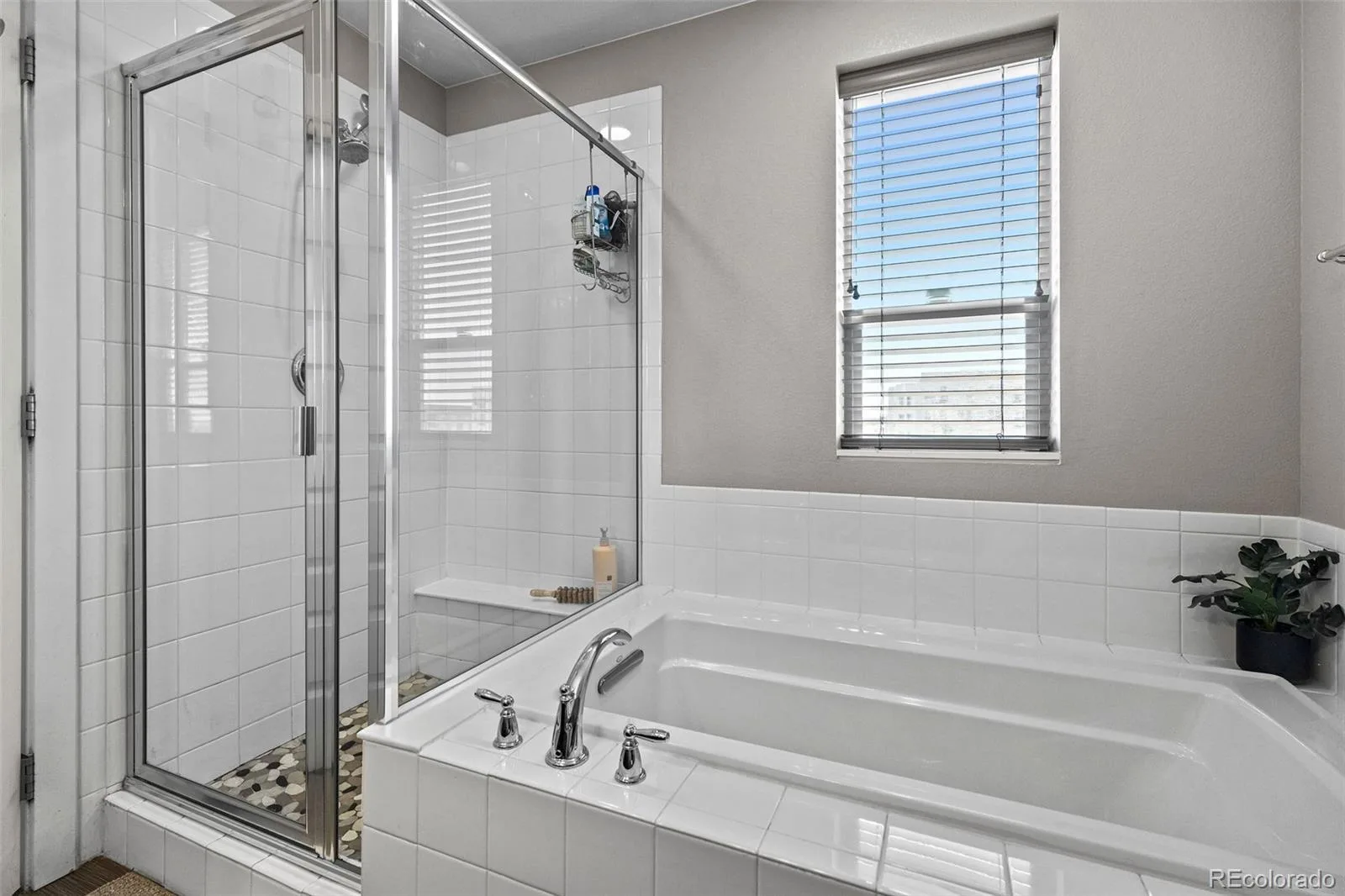 9083 E Northfield Boulevard Denver CO 80238 | MLS #REC8286654 08172026021039 1600 9