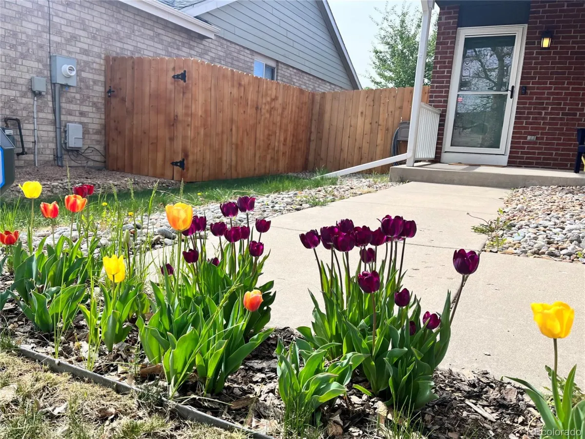 04062026145250 1200 3