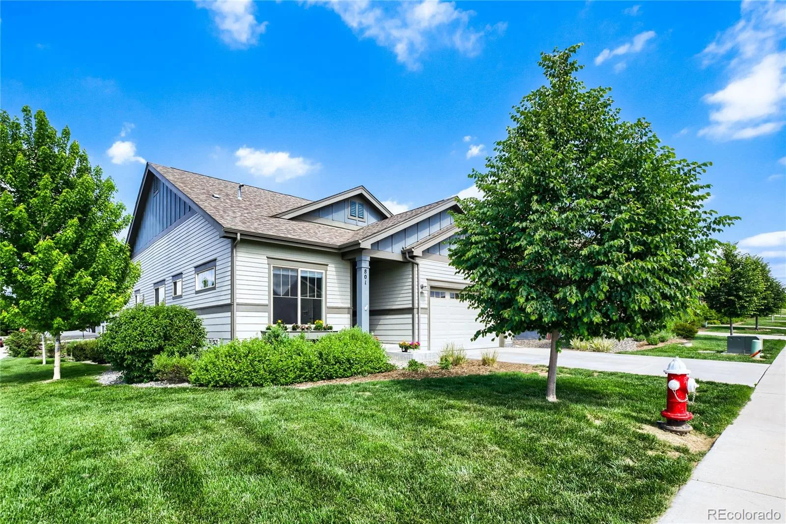 801 Widgeon Drive Longmont CO 80503 MLS #REC8292751 06082026205621 1600 0