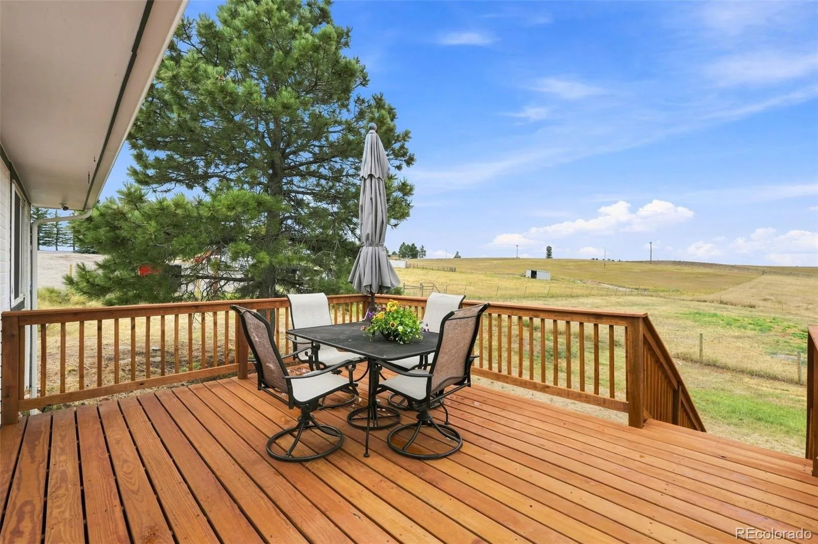 41273 Dublin Drive Parker CO 80138 | MLS #REC8297709 08142026152540 1600 19
