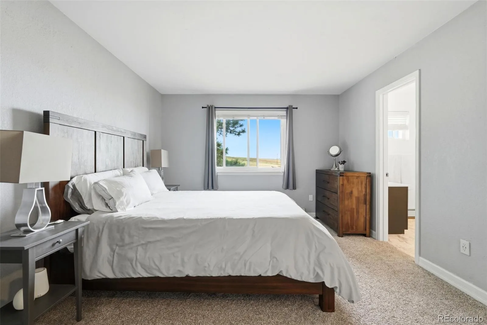 41273 Dublin Drive Parker CO 80138 | MLS #REC8297709 08142026152540 1600 28