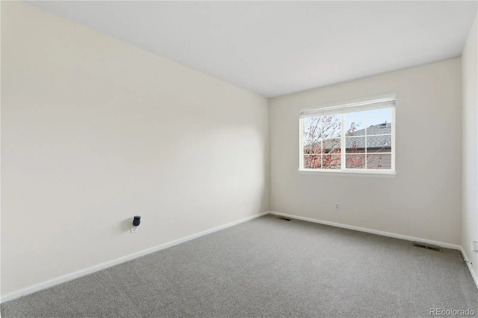 03042026015838 1600 29