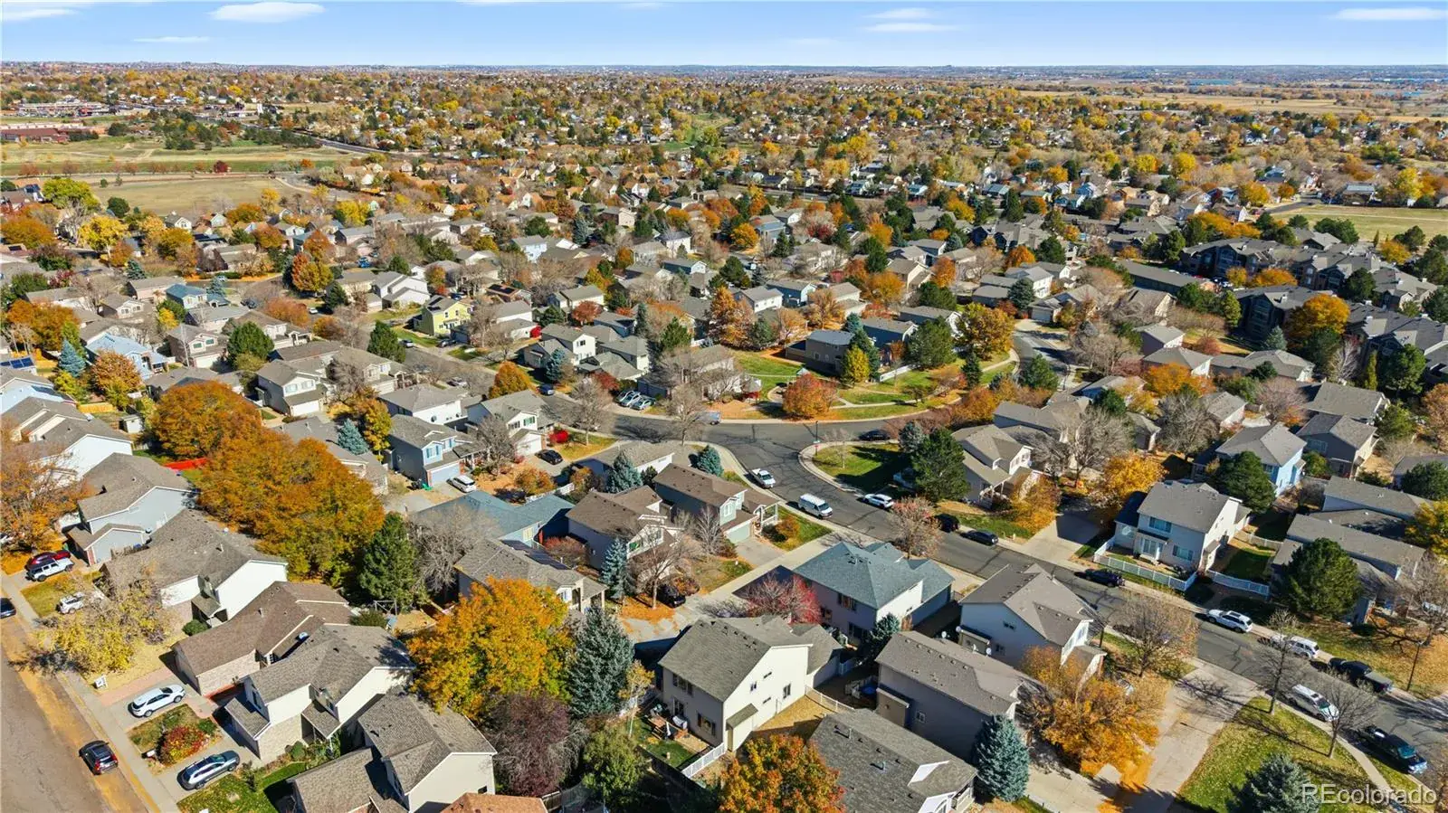 03042026015838 1600 41