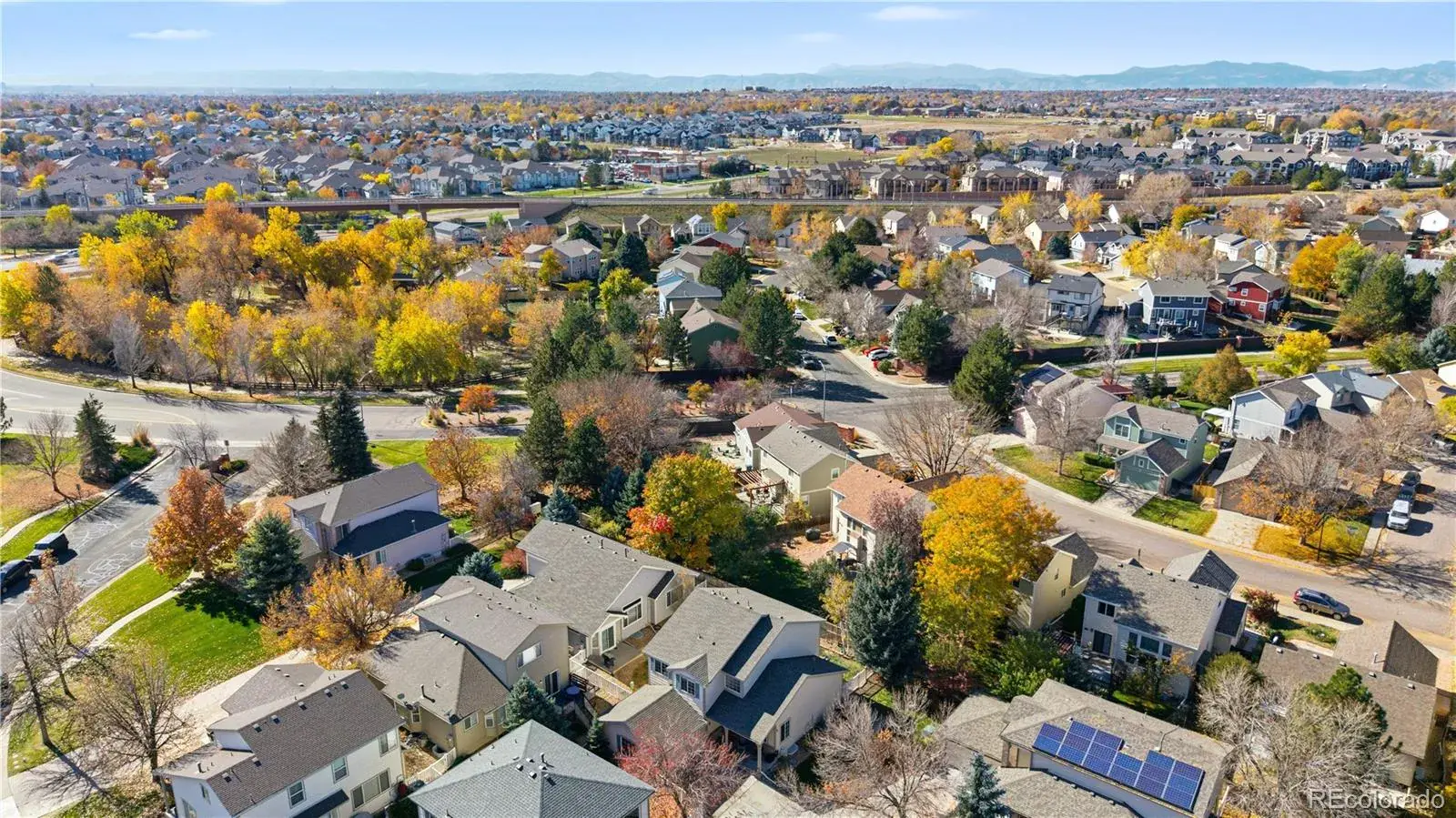 03042026015838 1600 42