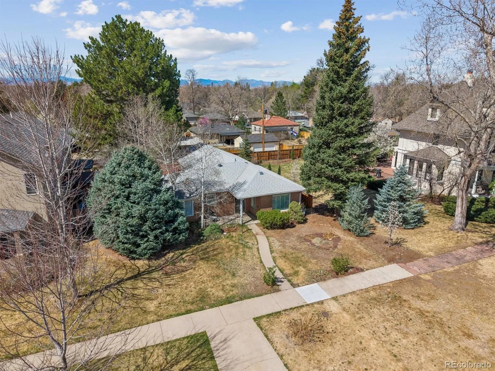 815 Oneida Street Denver CO 80220 MLS #REC8304907 05152026020933 1600 36