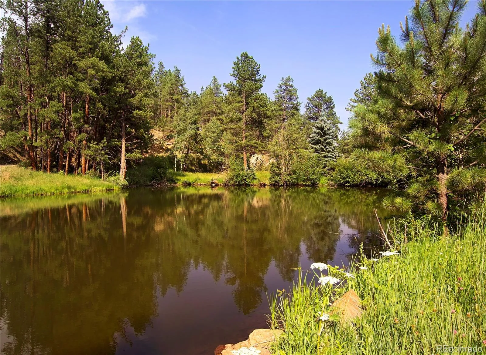 222 Greystone Road Evergreen CO 80439 | MLS #REC8305205 05082026155550 1600 8