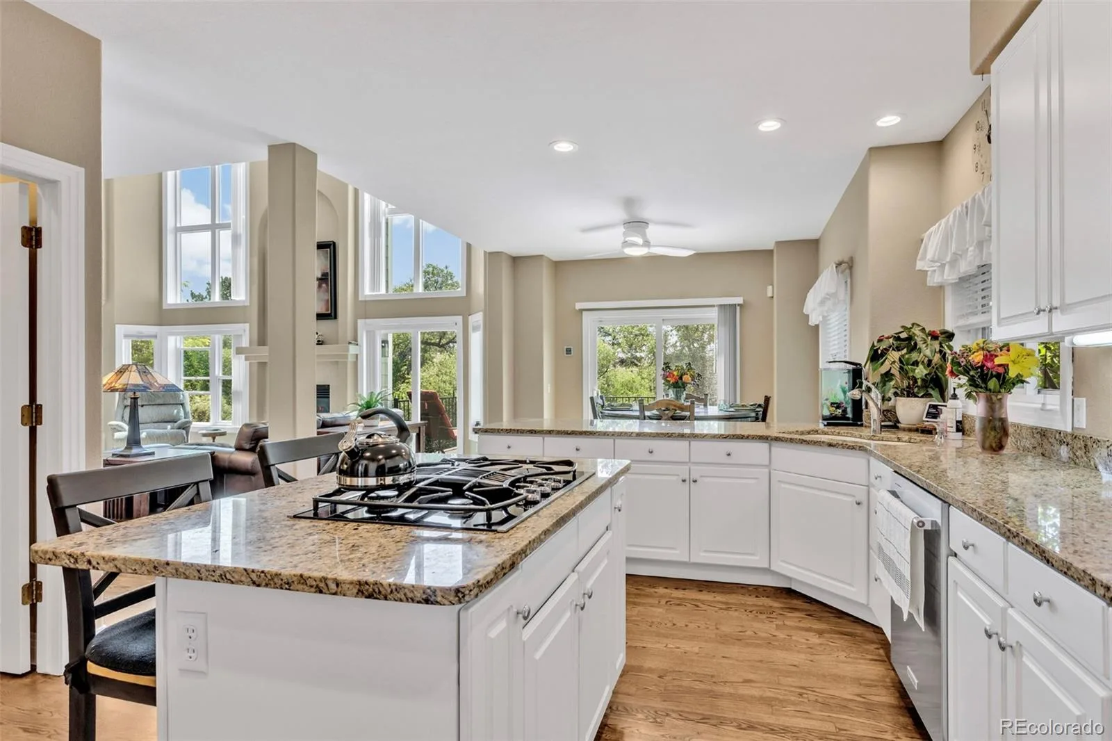 10822 Quail Creek Drive Parker CO 80138 | MLS #REC8322064 07062026212803 1600 14