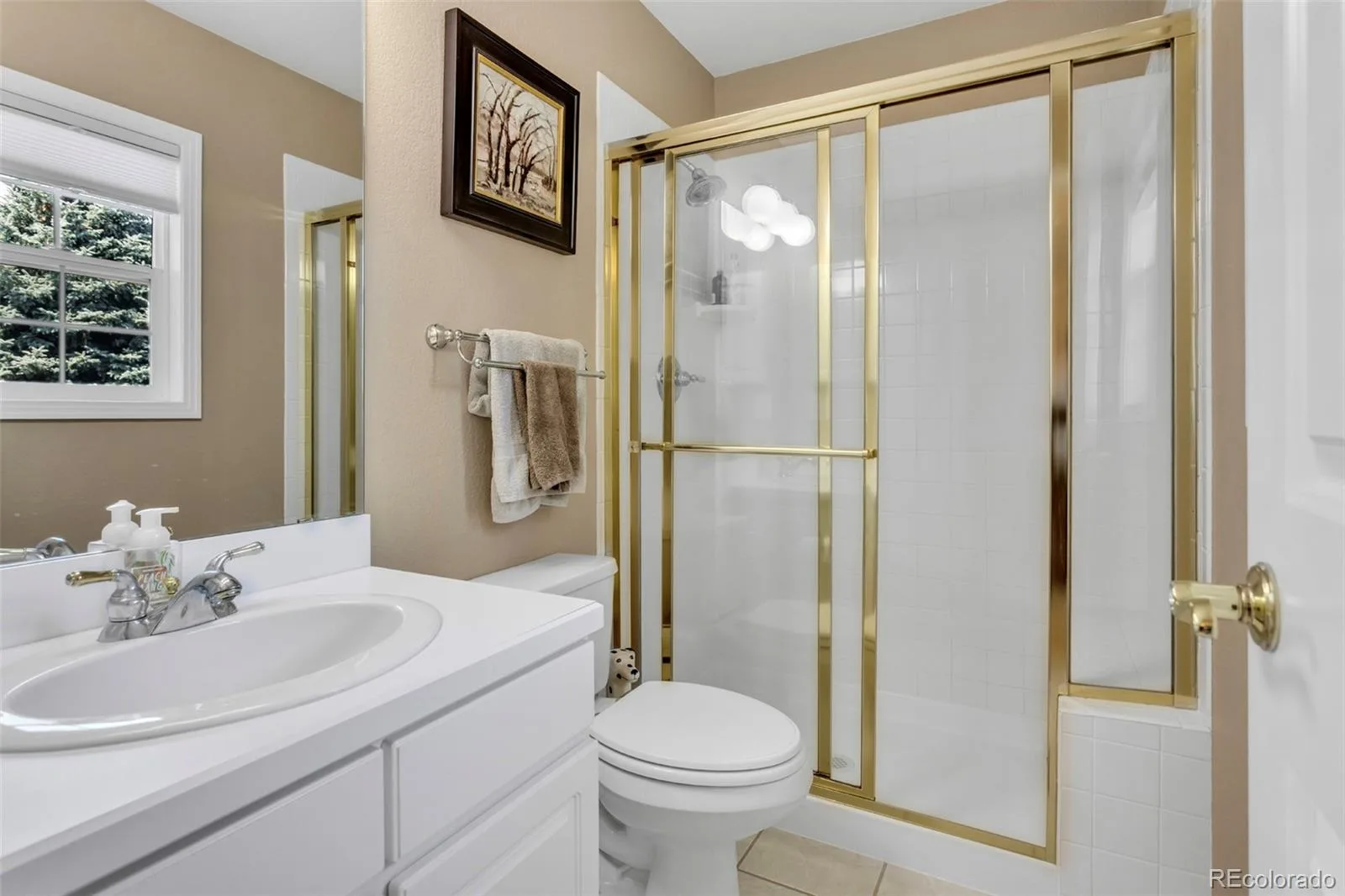 10822 Quail Creek Drive Parker CO 80138 | MLS #REC8322064 07062026212803 1600 27