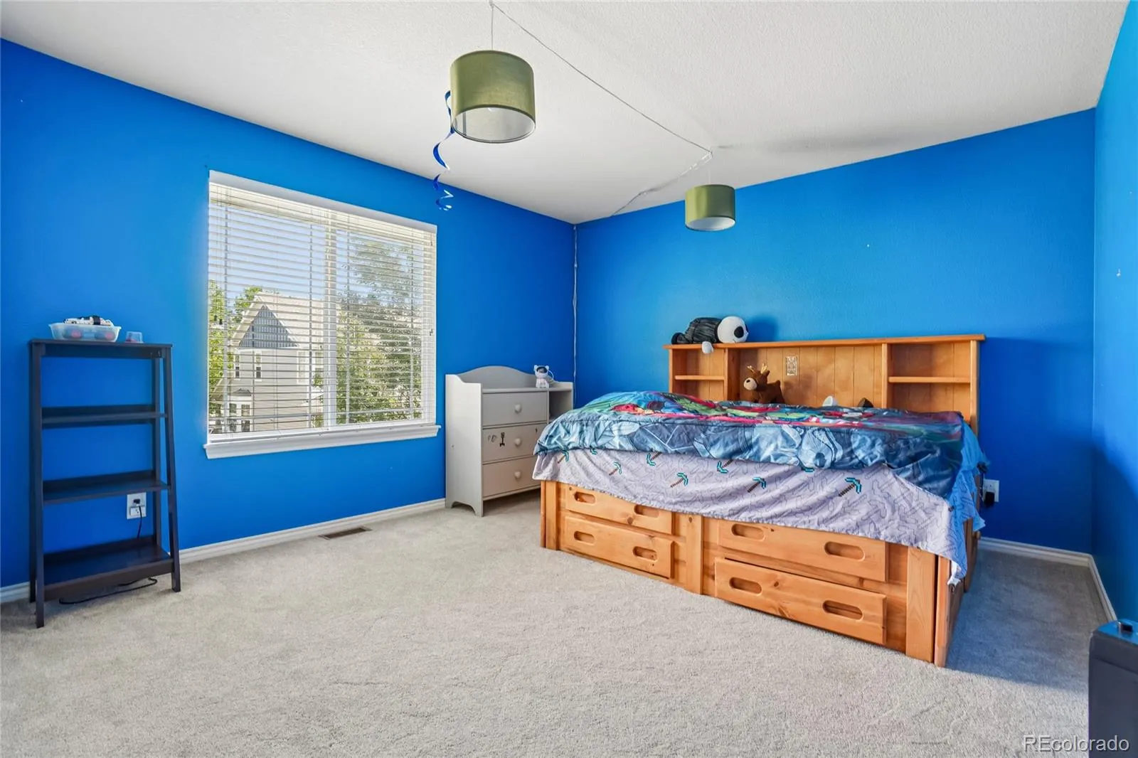 905 Lasnik Street Erie CO 80516 MLS #REC8325056 05282026020338 1600 25