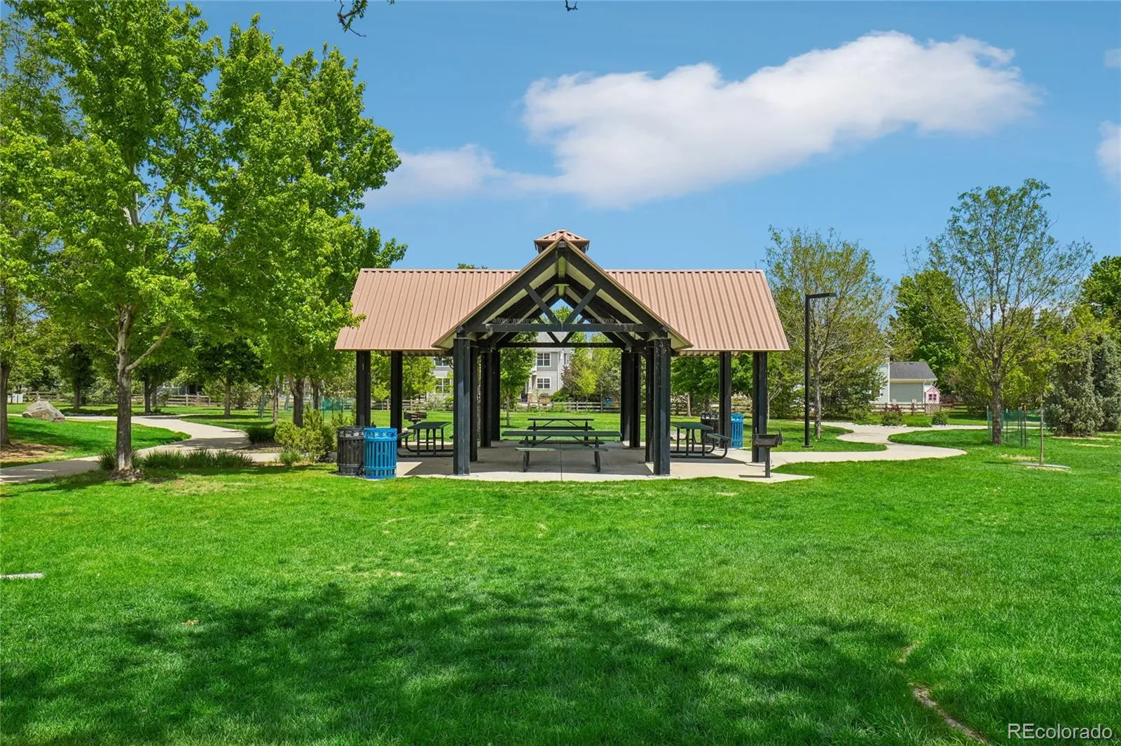 905 Lasnik Street Erie CO 80516 MLS #REC8325056 05282026020338 1600 35