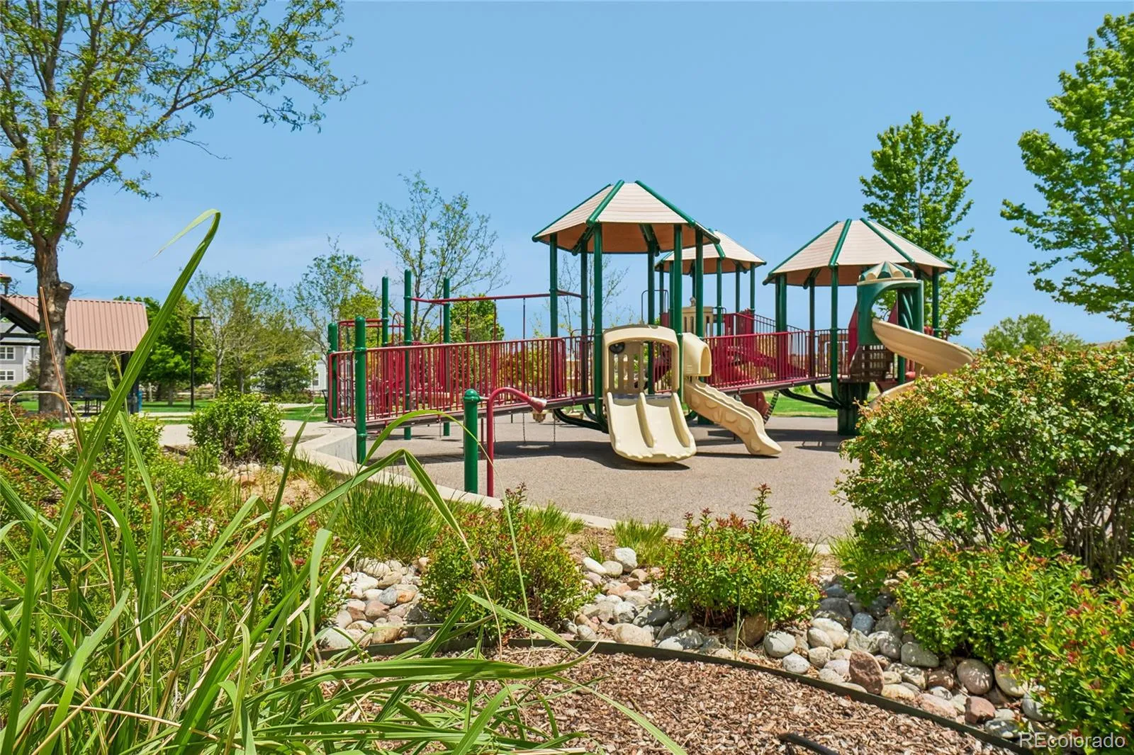 905 Lasnik Street Erie CO 80516 MLS #REC8325056 05282026020338 1600 36