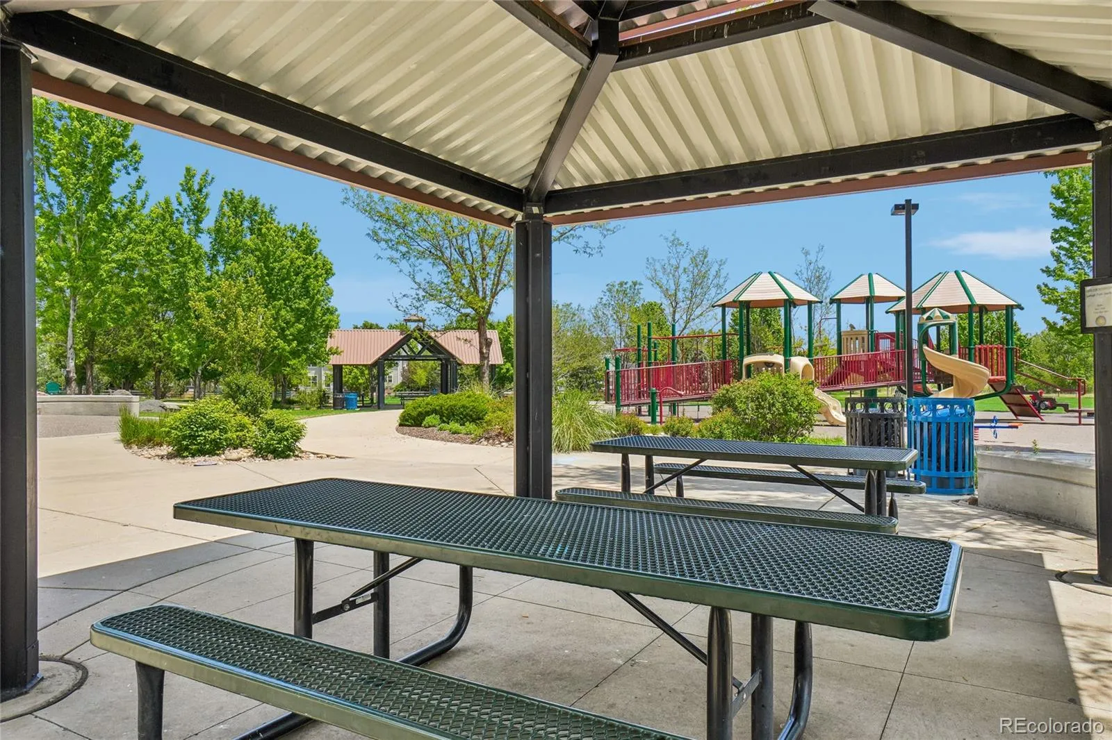 905 Lasnik Street Erie CO 80516 MLS #REC8325056 05282026020338 1600 37