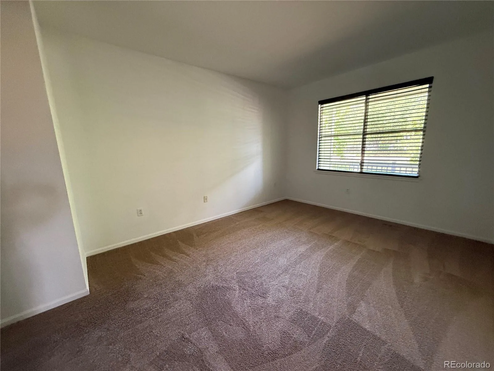 640 Gooseberry Drive #1301 Longmont CO 80503 | MLS #REC8326464 06272026140341 1600 10
