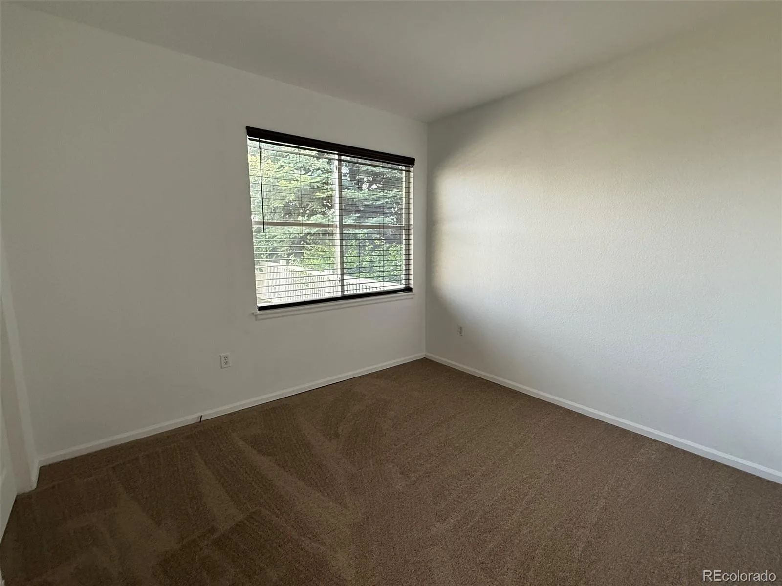 640 Gooseberry Drive #1301 Longmont CO 80503 | MLS #REC8326464 06272026140341 1600 16