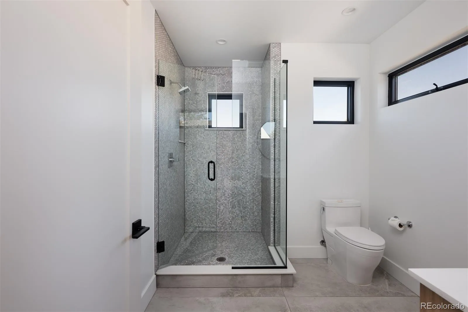 3948 N Navajo Street Denver CO 80211 | MLS #REC8329344 10062026230744 1600 24