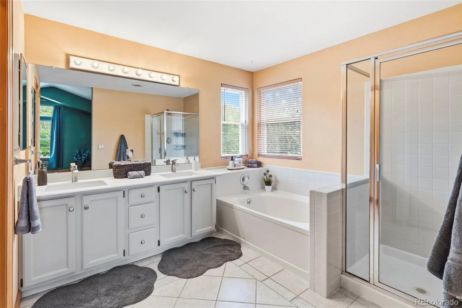 20182 Aintree Place Parker CO 80138 | MLS #REC8333432 08122026005617 1600 21
