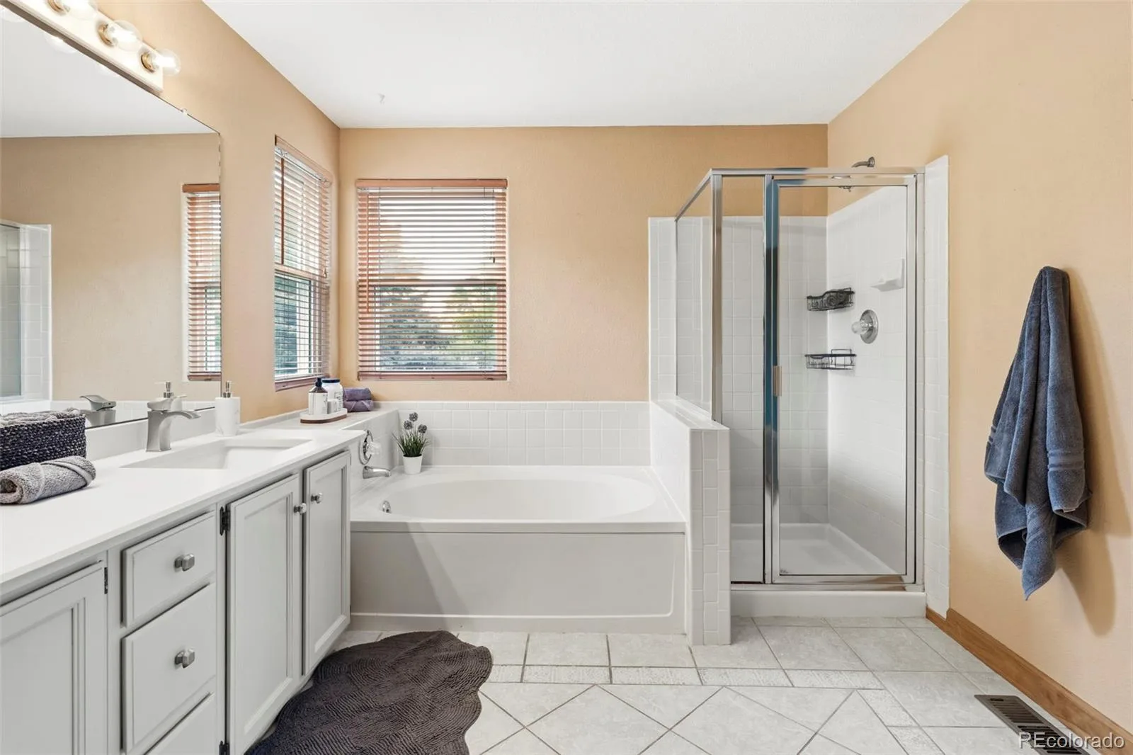 20182 Aintree Place Parker CO 80138 | MLS #REC8333432 08122026005617 1600 22
