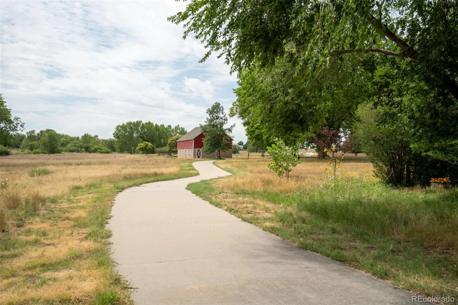 20182 Aintree Place Parker CO 80138 | MLS #REC8333432 08122026005617 1600 3
