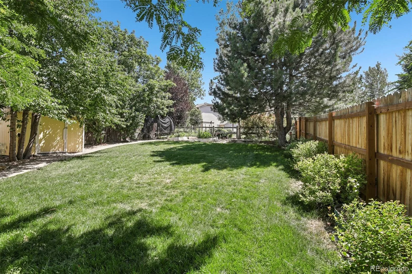 1628 Holeman Drive Erie CO 80516 | MLS #REC8346594 07312026154047 1600 31